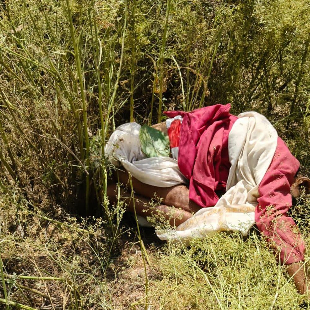 जालौन में बाइक पेड़ से टकराने से व्यक्ति की मौत:सिर पर गंभीर चोट आने से गई जान, रिश्तेदारी जाते समय हुआ हादसा