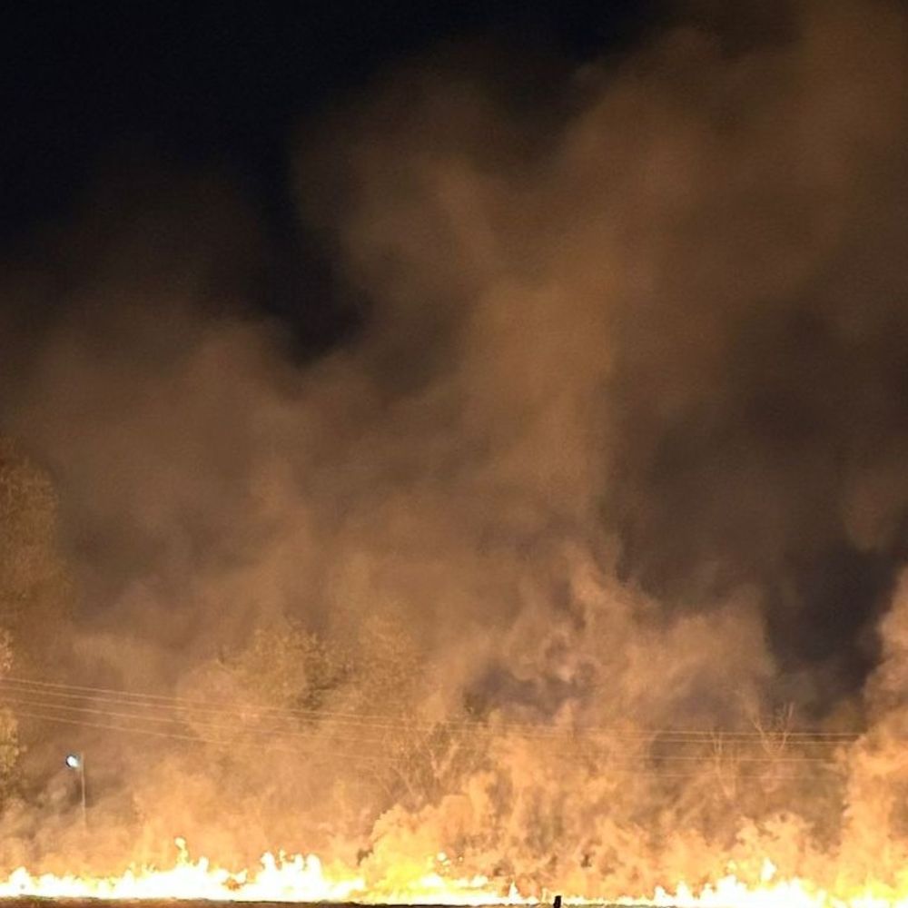 छिंदवाड़ा मे कलेक्टर का आदेश नहीं मान रहे किसान:नरवाई जलाने पर नहीं लग रही रोक, 60 से ज्यादा किसानों पर केस