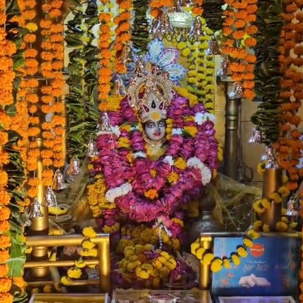 मां पीतांबरा धाम में अवतरण दिवस पर फूल बंगला सजा:माता का विशेष श्रृंगार, छप्पन भोग अर्पित, भजन संध्या में झूमे श्रद्धालु;