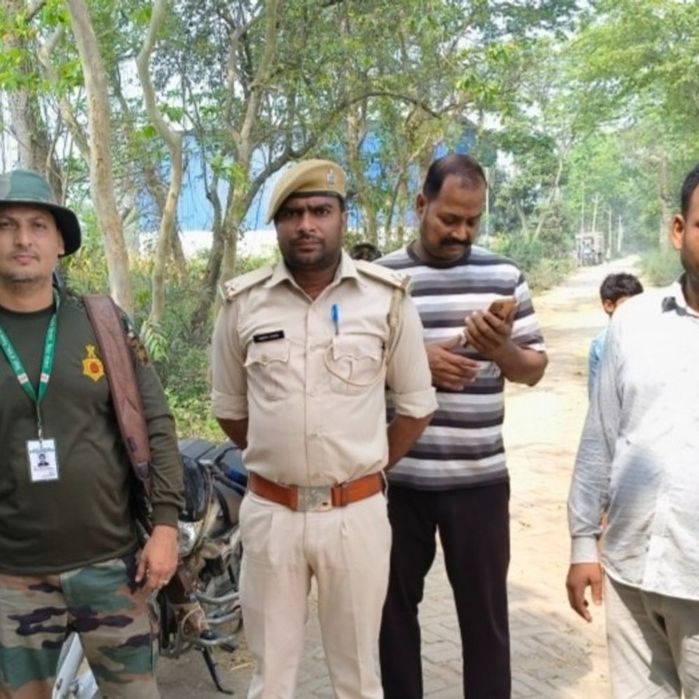 बेगूसराय में 58 नीलगायों को मार गिराया:  फसलों को पहुंचा रहे थे नुकसान, किसानों ने ली राहत की सांस – Begusarai News