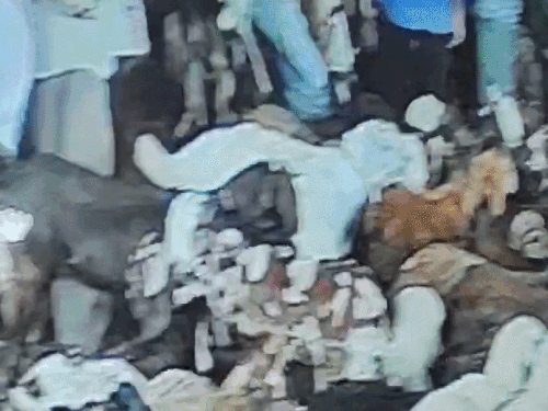 व्यापारी का नगदी से भरा बैग चोरी,VIDEO:  टू व्हीलर गाड़ी से चोरी की रकम, भीड़ होने का फायदा उठाया – Ajmer News