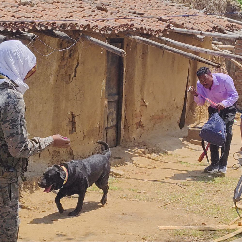 पलामू में किराए के मकान में महिला का मिला शव:  पत्थर से कुचलकर हत्या, दुष्कर्म की आशंका; गढ़वा के संदिग्ध शख्स की तलाश – Palamu News