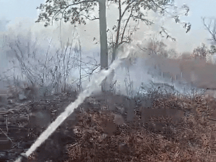 रीवा के गोविंदगढ़ के जंगलों में लगी आग:बुझाने में वन विभाग के छूट रहे पसीने, डीएफओ बोले- मानवीय लापरवाही की आशंका