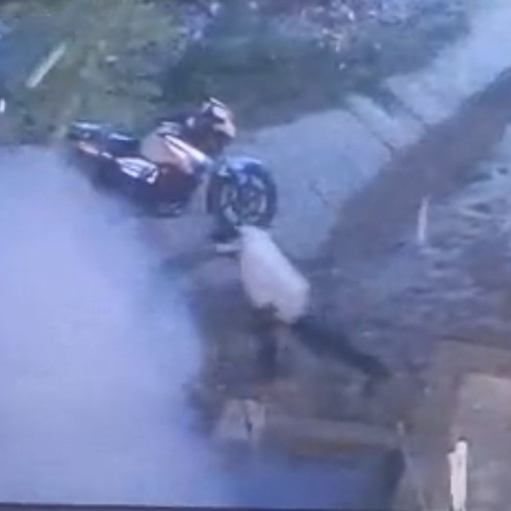 कौशांबी में रास्ते के विवाद में बम से हमला:घटना CCTV में कैद, दो के खिलाफ केस दर्ज, पुलिस जांच में जुटी