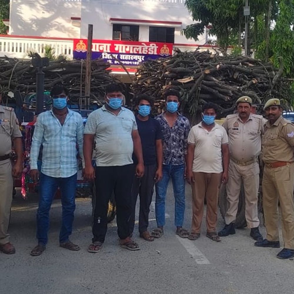 सहारनपुर पुलिस की अवैध कटान पर कार्रवाई:प्रतिबंधित आम की लकड़ी ले जा रहे पांच अरेस्ट, दो ट्रैक्टर-ट्रॉली सीज