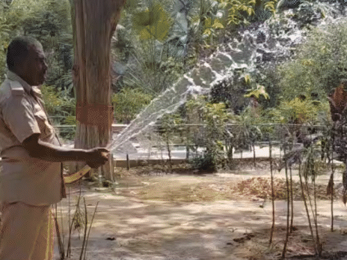 पटना जू में जानवरों के लिए लगे 17 कूलर-11 एसी:  चिपांजी पी रहा नारियल पानी, ग्लूकोज-मल्टीविटामीन और लू से बचने की दवाइयां भी दी जा रहीं – Patna News