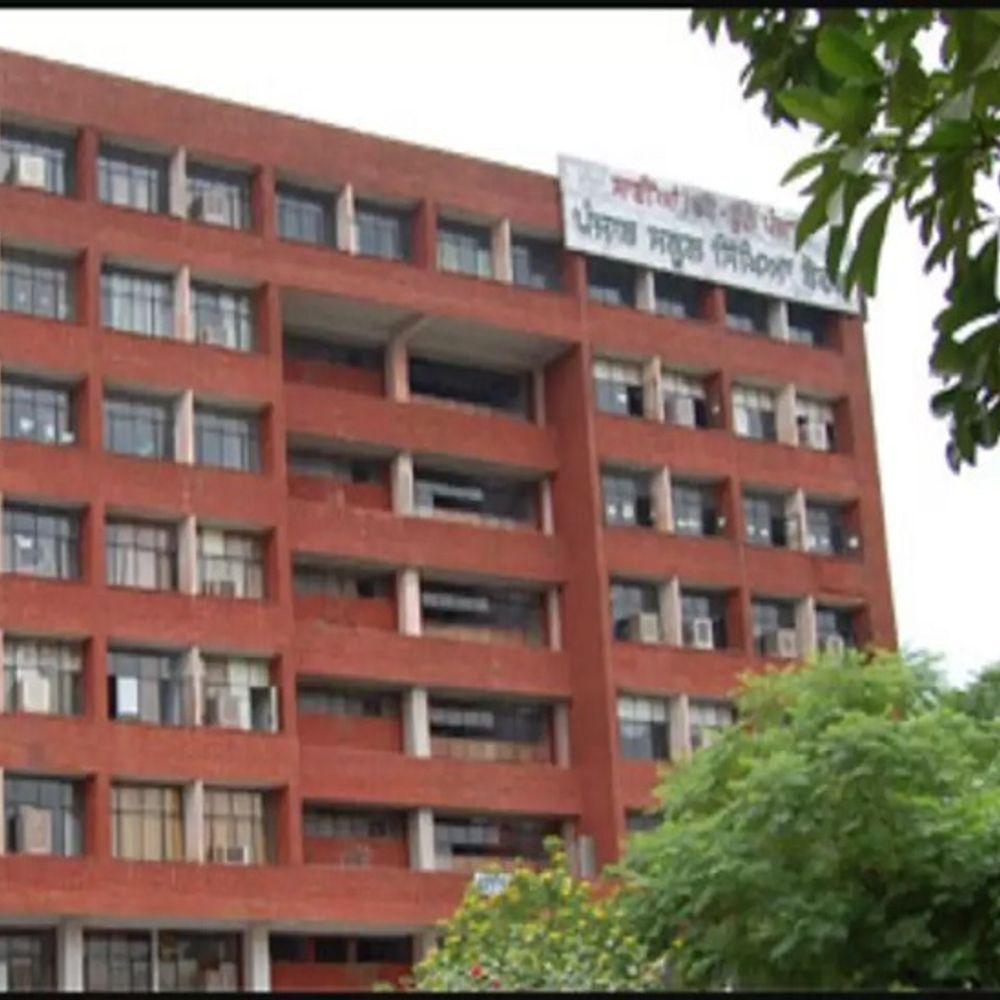 पंजाब पुलिस में फर्जी सर्टिफिकेट से नौकरी:  पीएसईबी की वेरिफिकेशन में खुली पोल, रिकॉर्ड में किया ब्लैकलिस्ट, रिपोर्ट भेजी – Chandigarh News