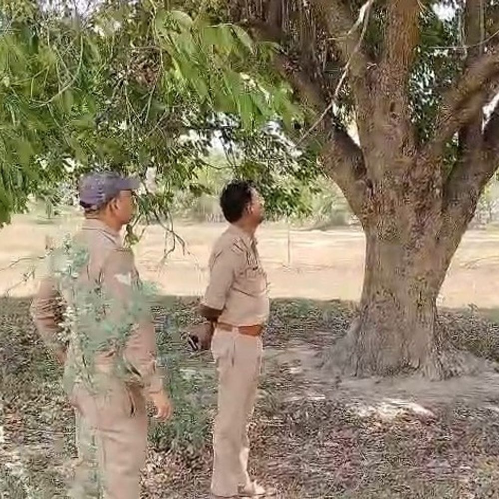 उन्नाव में पेड़ से लटका मिला अज्ञात शव:पुलिस ने फोरेंसिक टीम बुलाई, शिनाख्त के प्रयास जारी