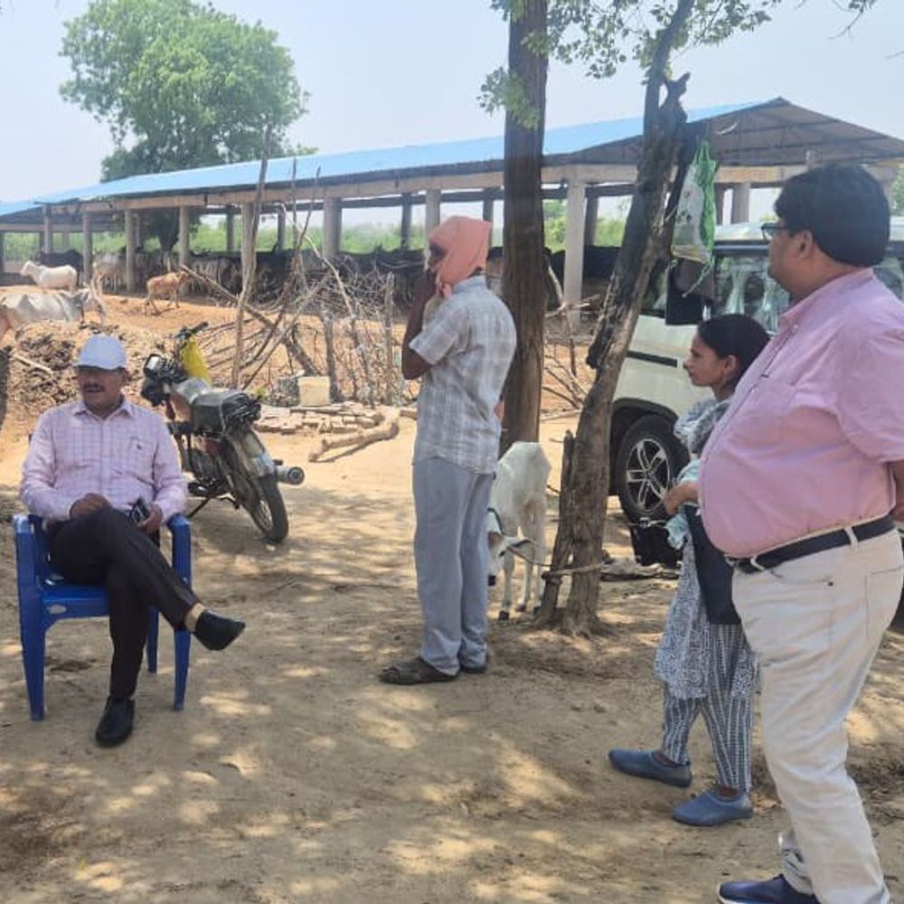 भीषण गर्मी में गोवंश संरक्षण पर प्रशासन सख्त:डीएम ने गौशाला का निरीक्षण कर व्यवस्थाएं दुरुस्त रखने के निर्देश दिए