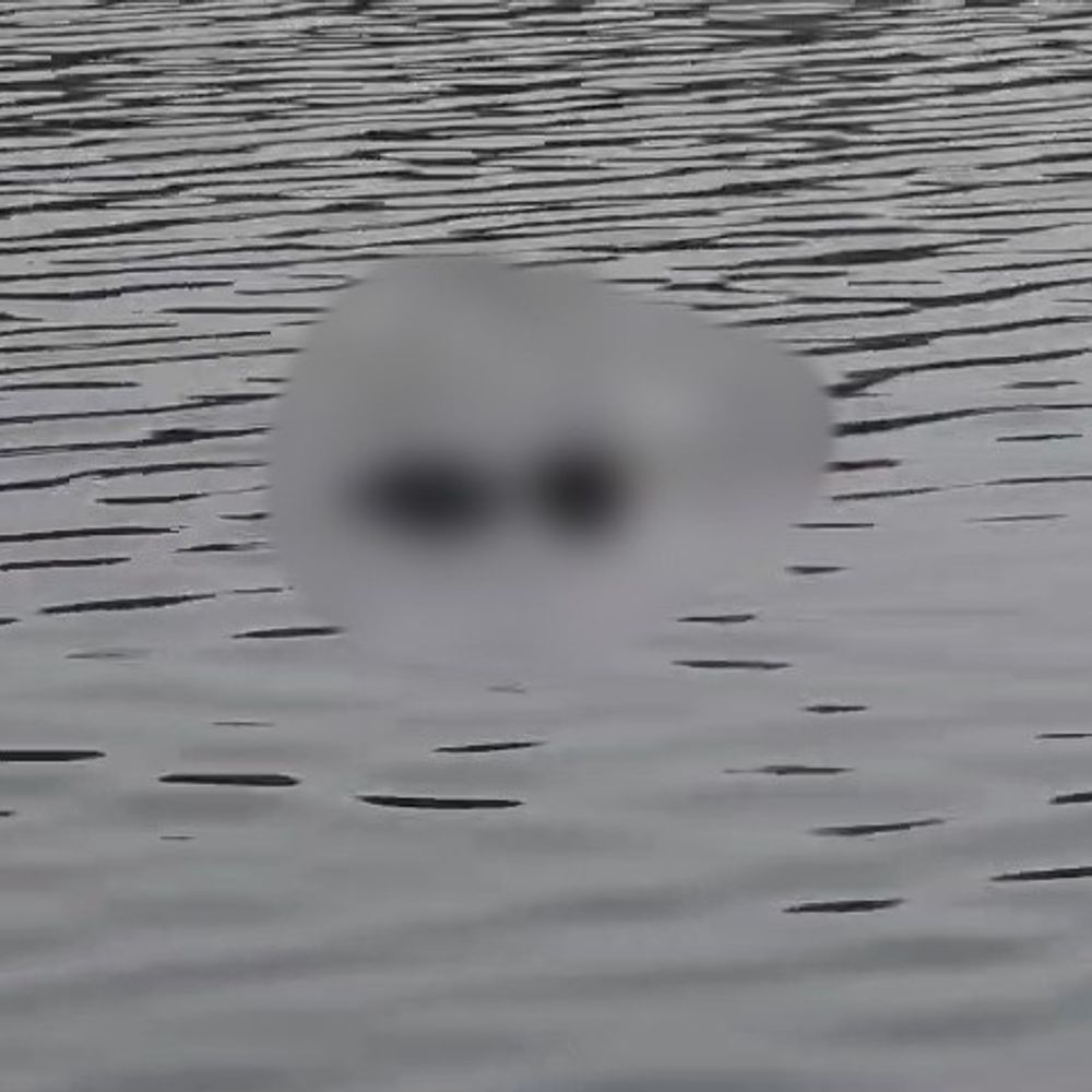 यमुना में मिला युवक का शव:मथुरा में सिर-हाथ पर चोट के निशान मिले, हत्या की आशंका, शिनाख्त नहीं हुई