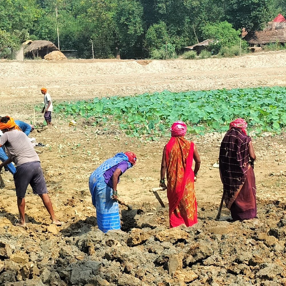 अयोध्या में विकास कार्यों पर ब्रेक:विकसित भारत' योजना का 40.33 करोड़ बकाया, फर्मों ने रोकी सामग्री; ग्राम प्रधान परेशान