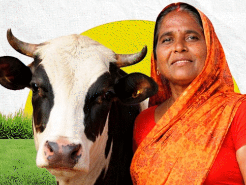 18 लाख जीविका दीदियों को 10 हजार नहीं मिले:34 लाख महिलाएं सेकेंड इंस्टॉलमेंट की वेटिंग में, 1.4 करोड़ का वेरिफिकेशन नहीं, कब मिलेगा पैसा