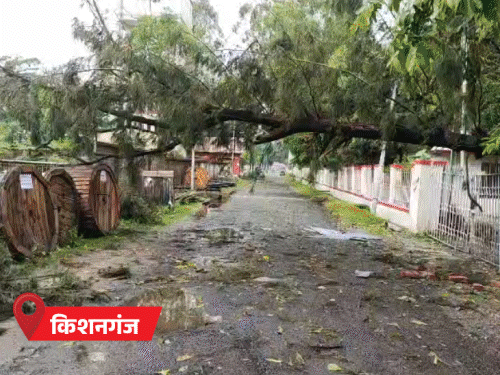 कोसी-सीमांचल में आंधी-बारिश से 5 की मौत:आज 13 जिलों में ऑरेंज अलर्ट; लू की चपेट में दक्षिण बिहार, भोजपुर में महिला की गई जान