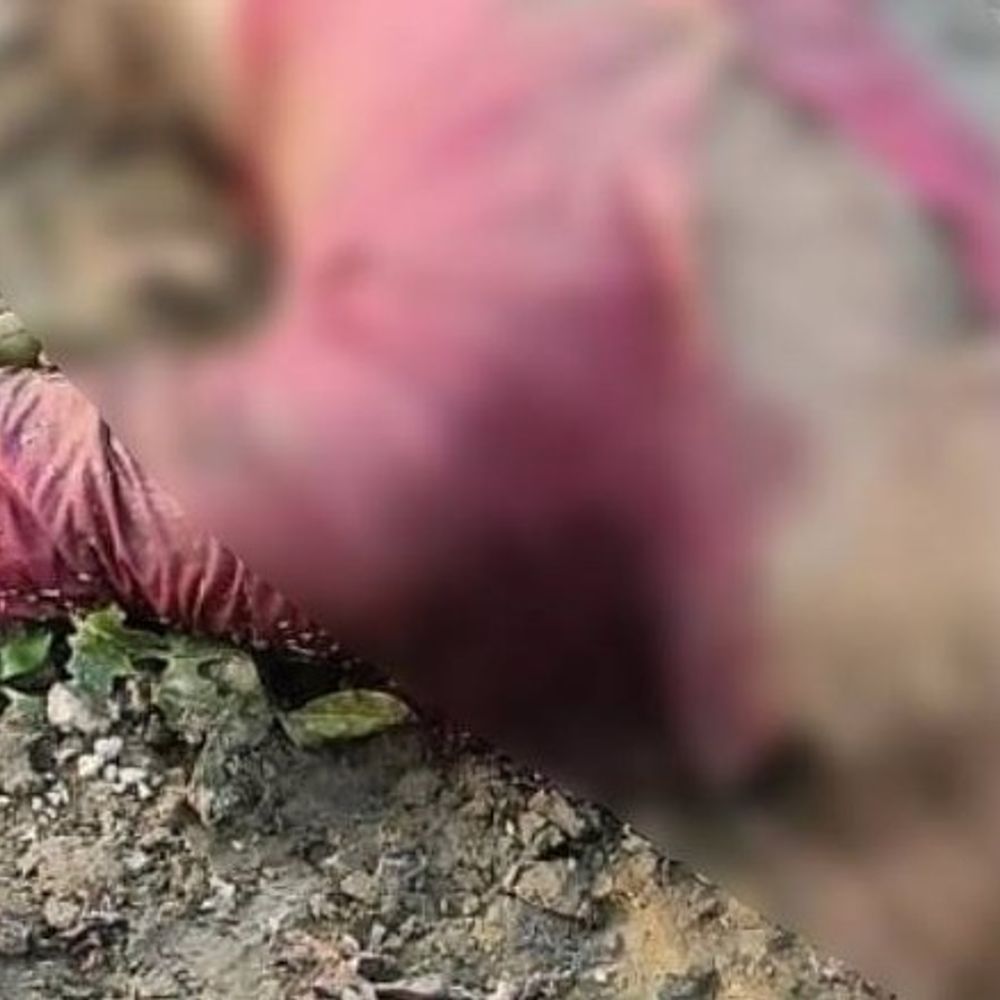 जौनपुर में चार दिन से लापता युवक का मिला शव:ग्रामीणों ने गोमती नदी में उतराया देखा, पोस्टमॉर्टम के लिए भेजा