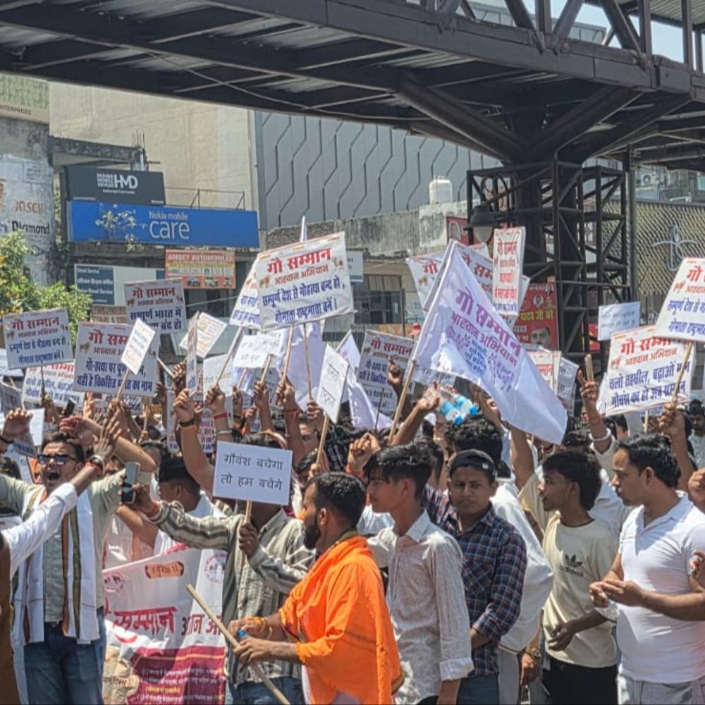 गाय को 'राष्ट्रमाता' का दर्जा देने की मांग:बरेली में हिंदू संगठनों का प्रदर्शन, कसाईखाने बंद करने और गो-तस्करी पर संपत्ति कुर्की की चेतावनी