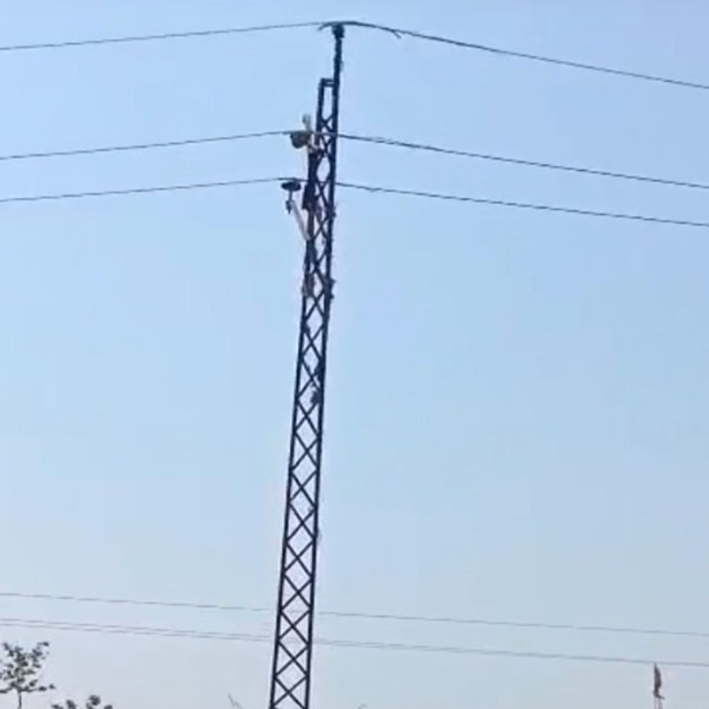 युवती ने बिजली के खंभे पर चढ़कर आत्महत्या की:शादी तय होने पर प्रेमी फोटो वायरल करने की धमकी दे रहा था, कपड़े फैलाने निकली थी