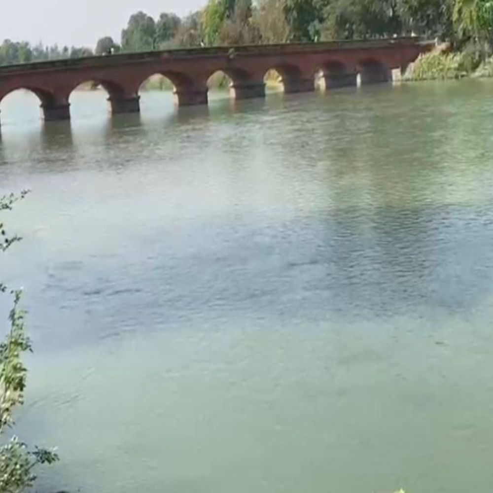 शाहजहांपुर में नहर में डूबे युवक का शव मिला:शाहजहांपुर में झाड़ियों में फंसा था, तीन दोस्तों के साथ नहाने गया था