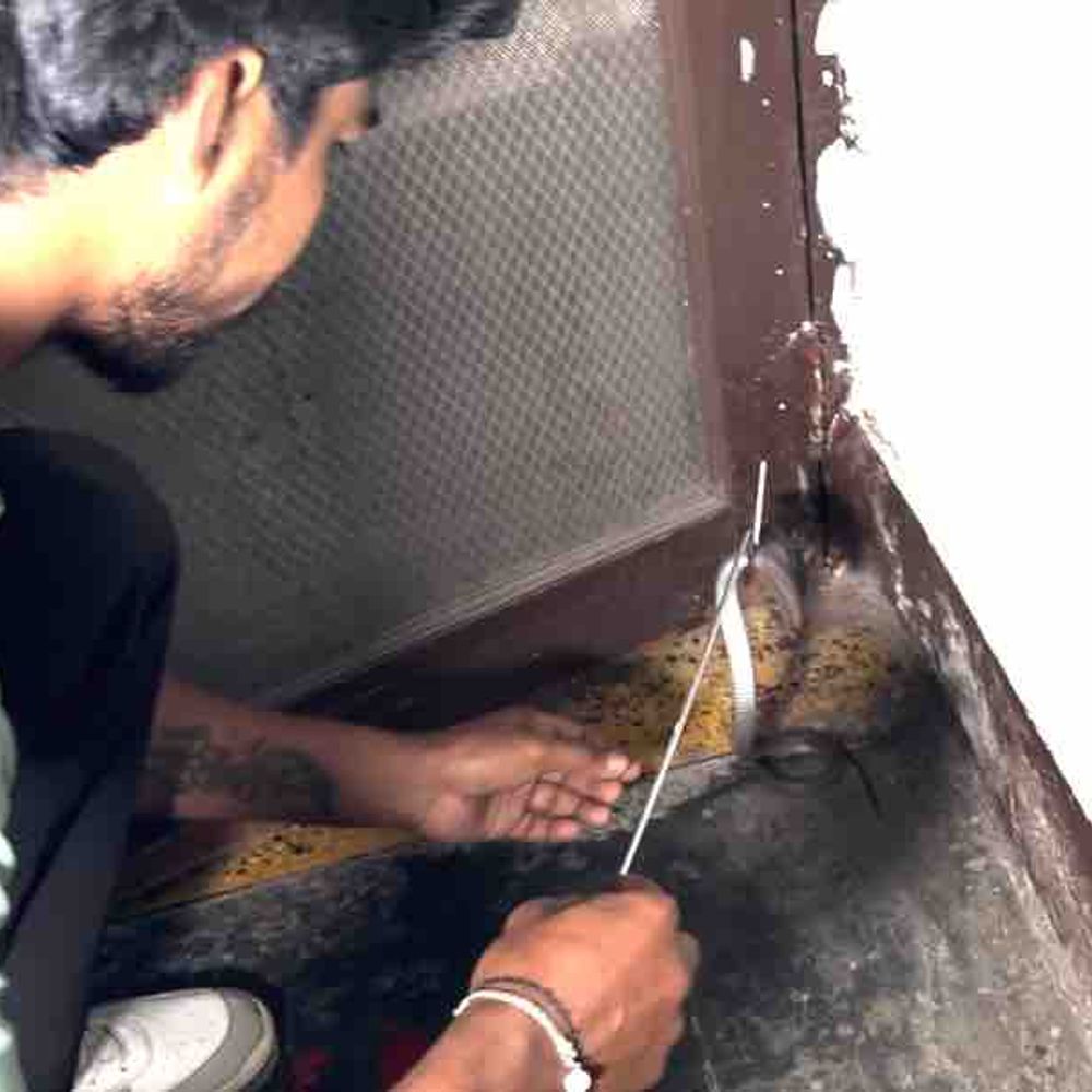 रामपुर में कांस्टेबल के घर कोबरा घुसा:वन विभाग नहीं पहुंचा, NGO ने किया रेस्क्यू; कार्यप्रणाली पर उठे सवाल