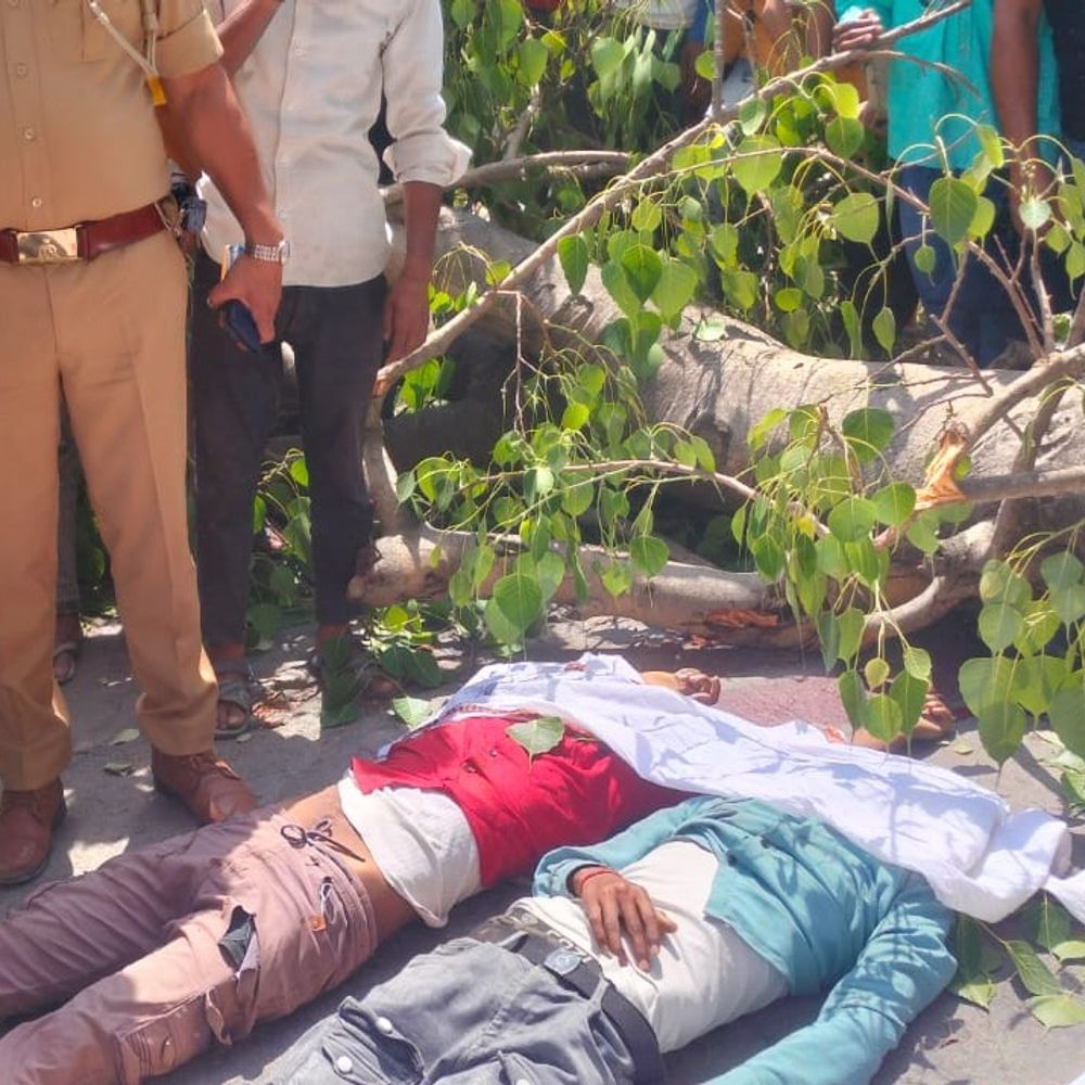 चलती बाइक पर गिरा पीपल पेड़,दो की मौत:गोंडा में अगले दिन छोटे भाई की शादी, कटर से काटकर निकाले गए शव