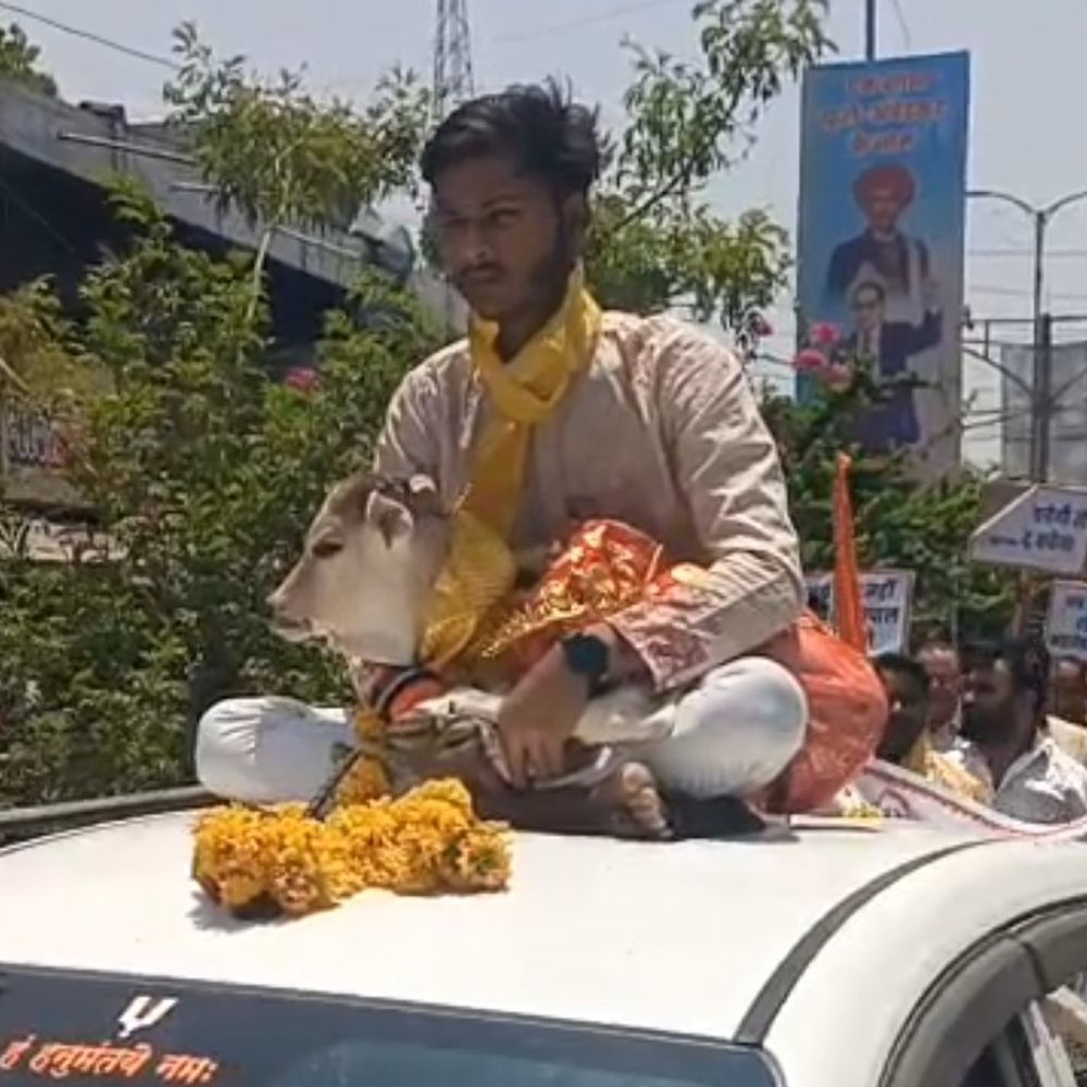 शाजापुर में गौ सम्मान आवाहन यात्रा निकली:राज्यपाल के नाम ज्ञापन सौंपकर की गई गोवंश संरक्षण की मांग