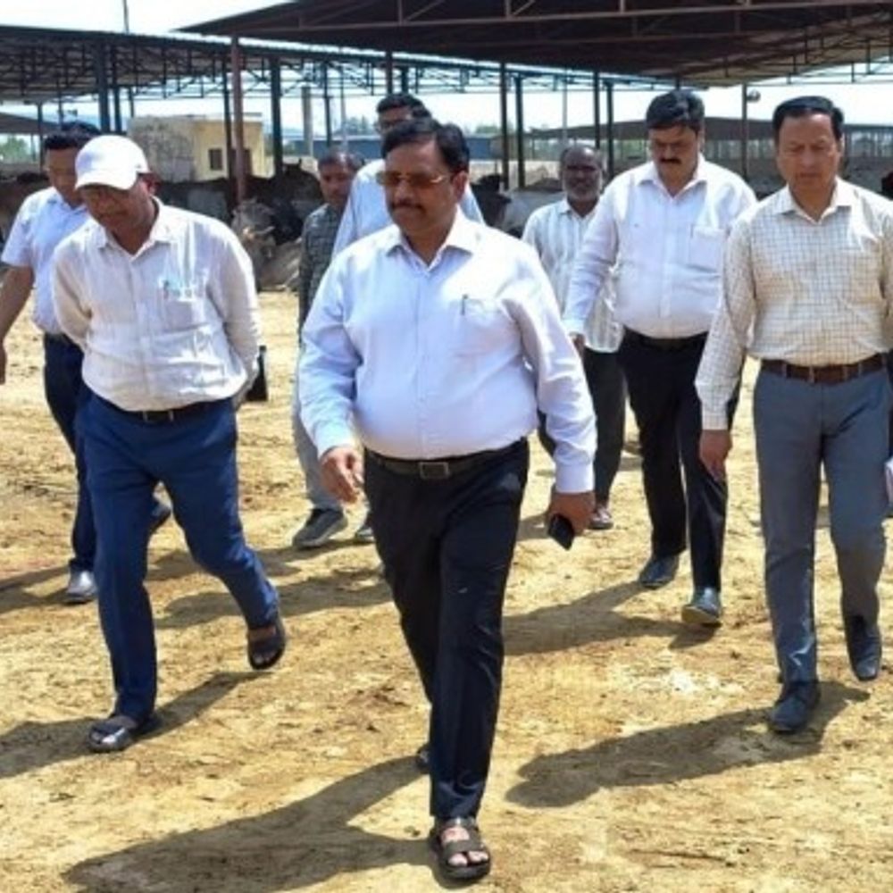 गर्मी में गोवंश सुरक्षा पर प्रशासनिक सख्ती, व्यवस्थाएं दुरुस्त:824 गौवंशों के बीच पहुंचे डीएम, गर्मी से बचाव को दिए कड़े निर्देश