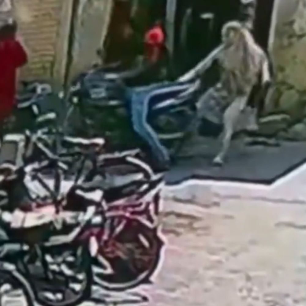 लूट में शामिल युवती का किन्नर होने का शक:फिरोजाबाद में फुर्ती और ताकत देखकर आशंका, सीसीटीवी फुटेज देखकर तलाश