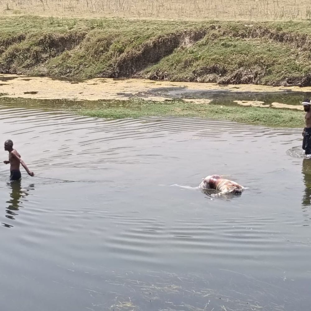 साढ़ में रिंद नदी में मिला अधेड़ का शव:ग्रामीणों की सूचना पर पुलिस शिनाख्त में जुटी, फोरेंसिक टीम ने साक्ष्य जुटाए