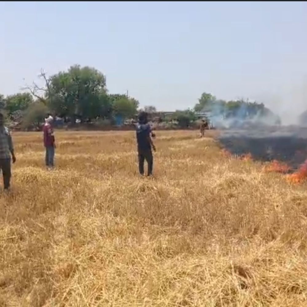 जालौन में पेट्रोल पंप के पास पराली में लगी आग:दमकल ने समय रहते काबू पाया, टला बड़ा हादसा