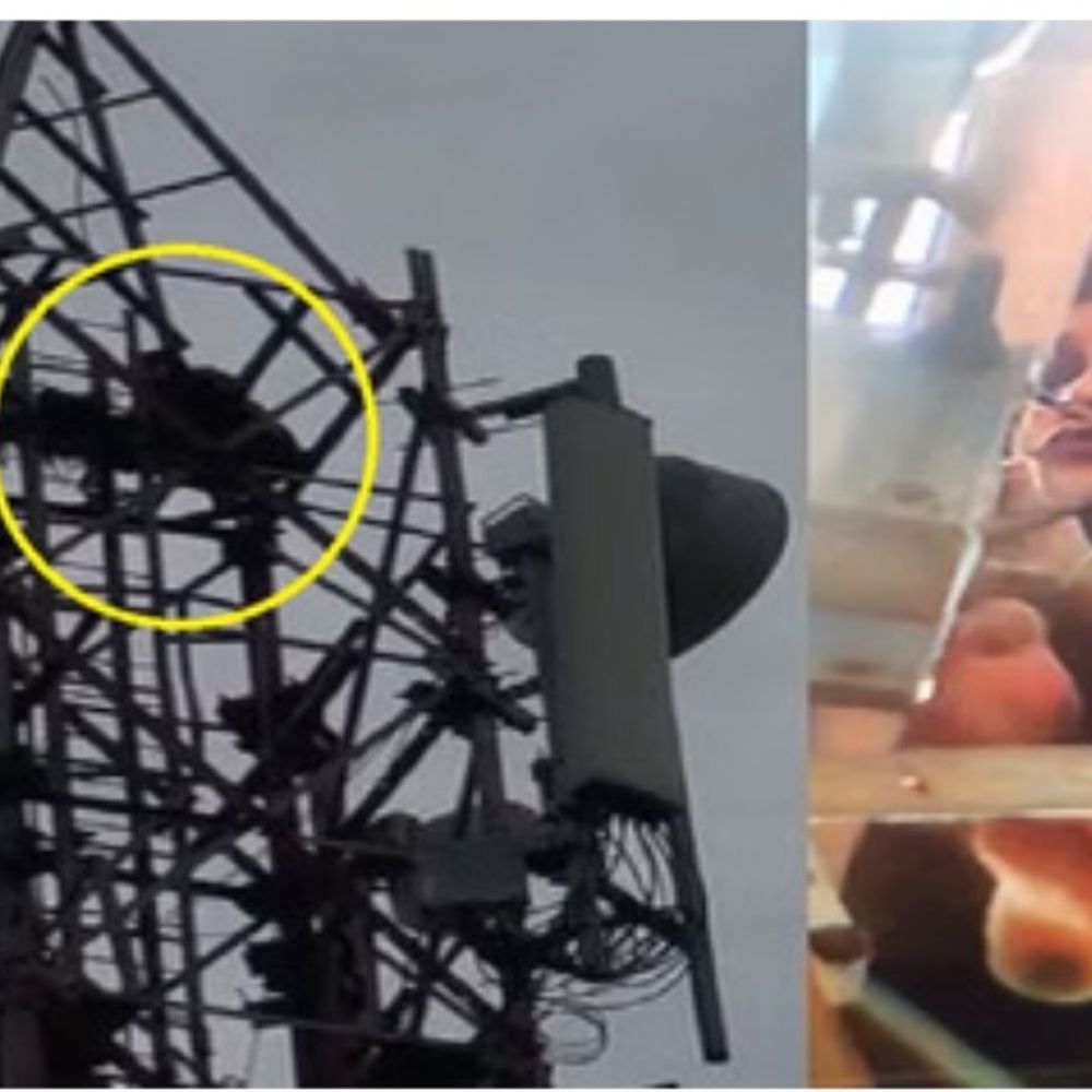 हाथरस में महिला मोबाइल टावर पर चढ़ी, VIDEO:ससुराल से निकली थी, पुलिस और फायर ब्रिगेड समझाने में जुटी