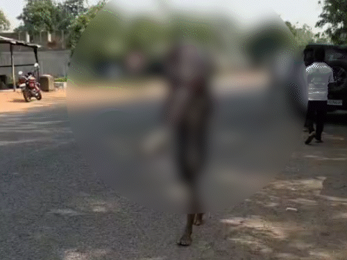 ओडिशा में बहन का कंकाल लेकर बैंक पहुंचा शख्स:  कंधे पर लेकर 3km पैदल चला; बैंक कर्मचारियों ने कहा था- जिसका खाता उसे लेकर आओ
