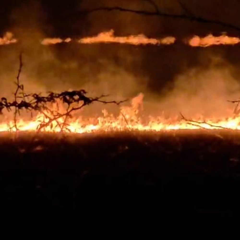हमीरपुर में हाईवे किनारे खेतों में जलाई पराली:प्रतिबंध के बावजूद आग लगाने पर डीएम ने दिए जांच के आदेश