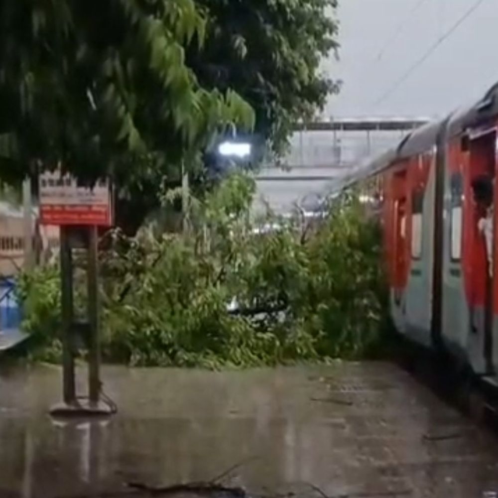 जौनपुर जंक्शन पर पेड़ गिरने से OHE लाइन टूटी:प्लेटफॉर्म पर खड़ी दो ट्रेनों पर गिरा पीपल का पेड़, ट्रेनें प्रभावित