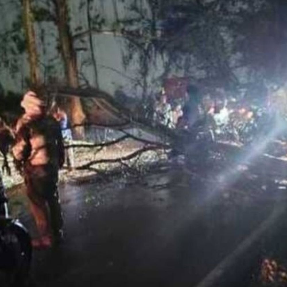 देवरिया में रेलवे ट्रैक पर पेड़ गिरा, रेल संचालन बाधित:गोरखपुर-वाराणसी रेलखंड पर 40 मिनट रुकी इंटरसिटी, कई ट्रेनें प्रभावित