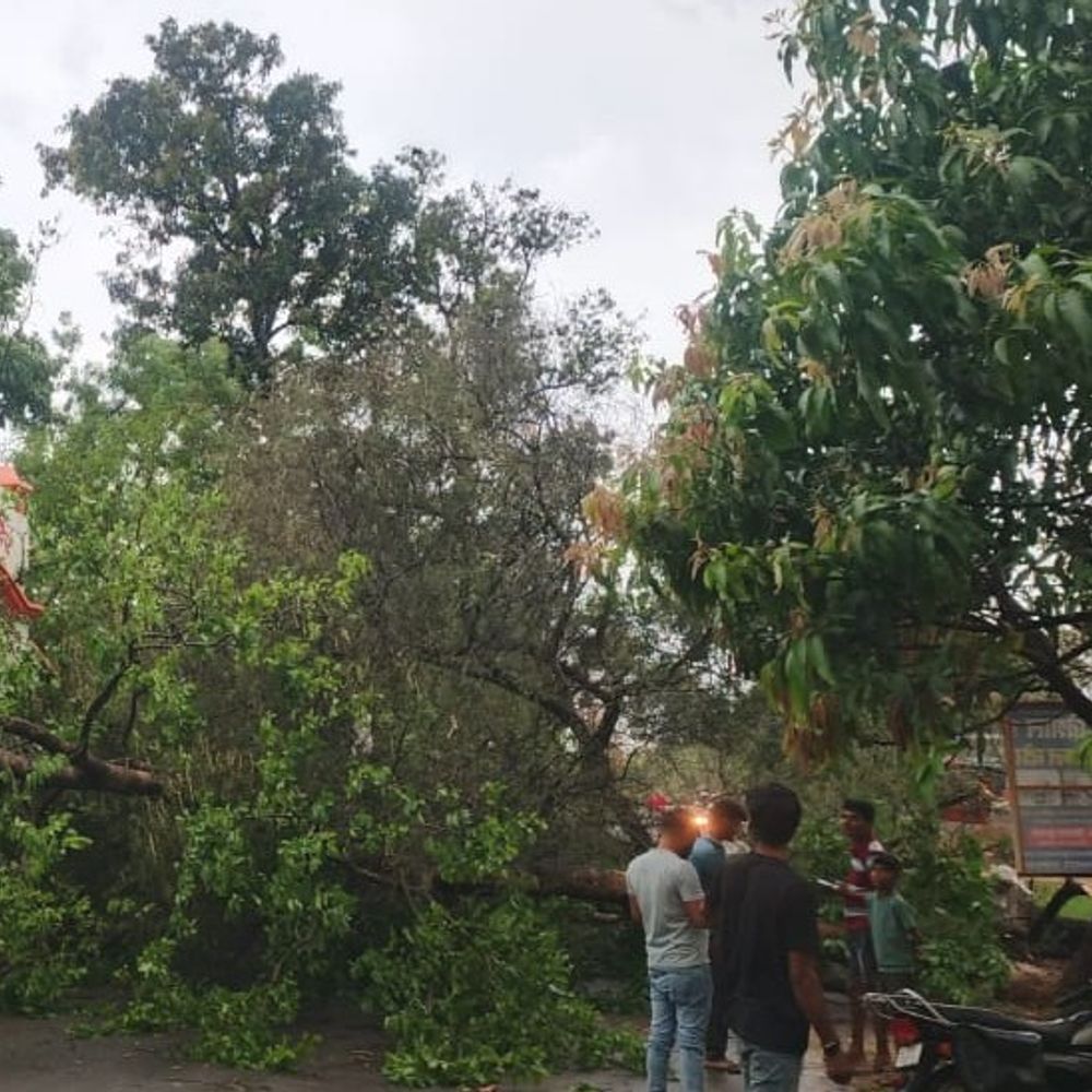 सुल्तानपुर में आंधी-तूफान से बिजली ठप:33 हजार वोल्ट लाइन पर सप्लाई बंद, एक लाख आबादी अंधेरे में