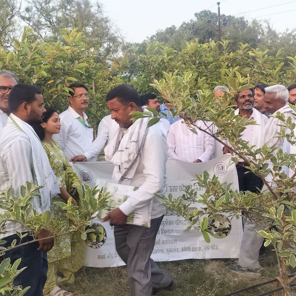 अयोध्या में अमरूद की सघन बागवानी पर प्रशिक्षण:वैज्ञानिक विधि से किसान प्रति हेक्टेयर 30-40 मीट्रिक टन उत्पादन ले सकते हैं