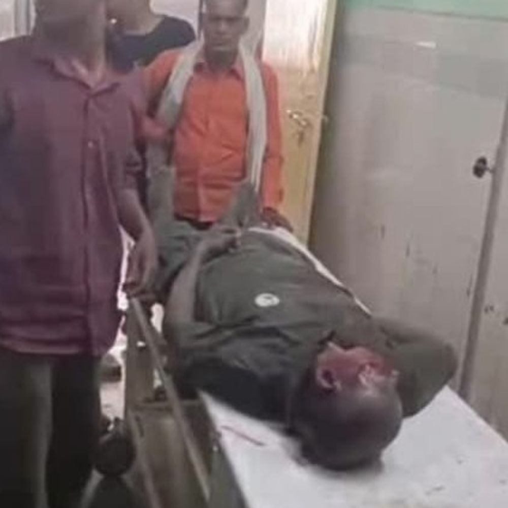 लखीमपुर में पालतू हाथी ने महावत को पटककर मार डाला:दुधवा टाइगर रिजर्व में नहलाते समय हुआ हमला, जांच जारी