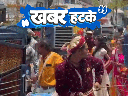 खबर हटके- इंस्टाग्राम पर सुअर के 12 लाख फॉलोअर:तेज धूप में निकली कूलर वाली बारात; डेस्टिनेशन वेडिंग के नाम पर श्मशान में शादी