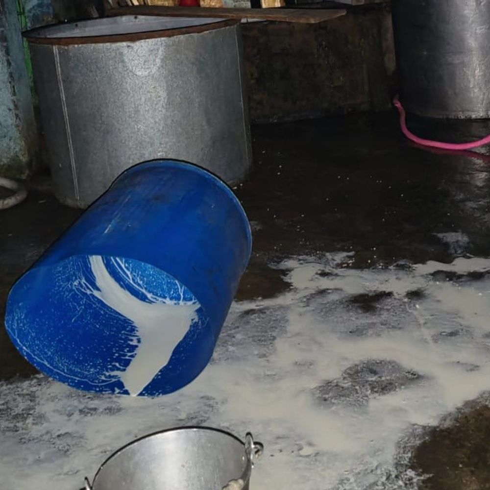 अलीगढ़ में मिलावटी पनीर नष्ट कराया:श्री गोपाल जी डेयरी में पामोलिन ऑयल, मिल्क पाउडर से हो रहा था तैयार