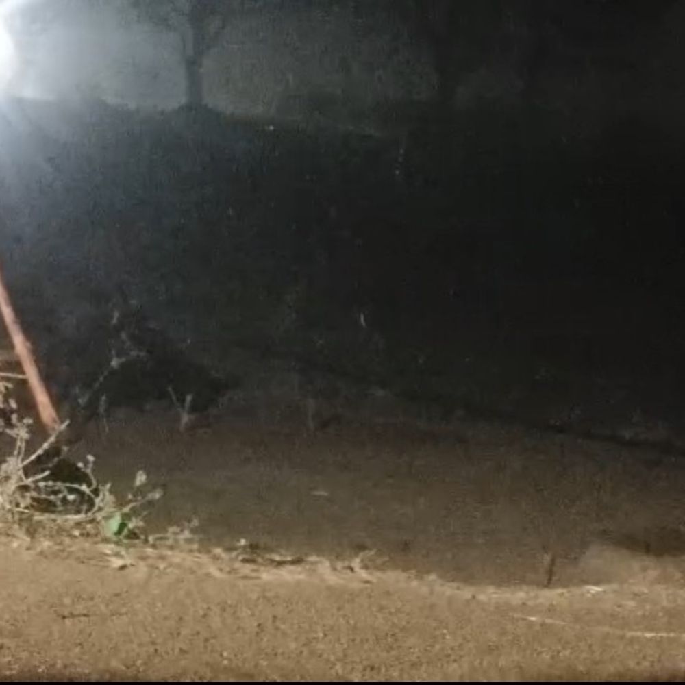 चित्रकूट में तेज हवा के छाए बादल:मौसम हुआ सुहावना, हल्की बूंदाबांदी के आसार