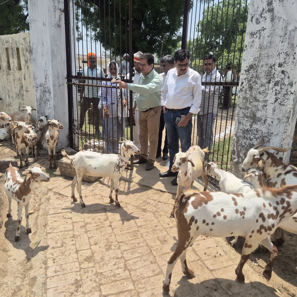 कृषि व्यवस्थाओं की नोडल अधिकारी ने देखी जमीनी हकीकत:जालौन में हाईटेक नर्सरी से लेकर फार्म तक किया निरीक्षण