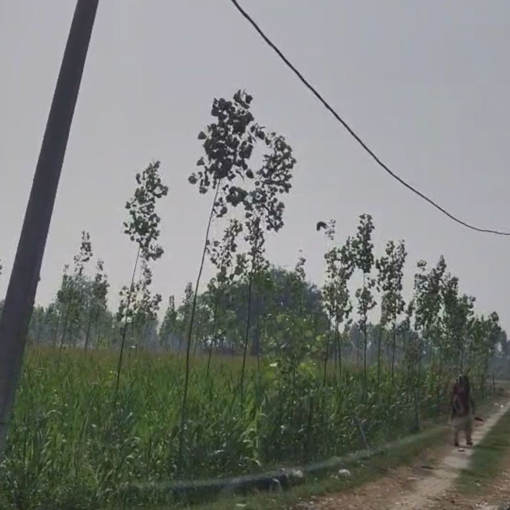 संभल में तापमान 3 डिग्री गिरा, अधिकतम 33 डिग्री:AQI 171 पहुंचा, धूप निकली, शाम तक आंधी की संभावना