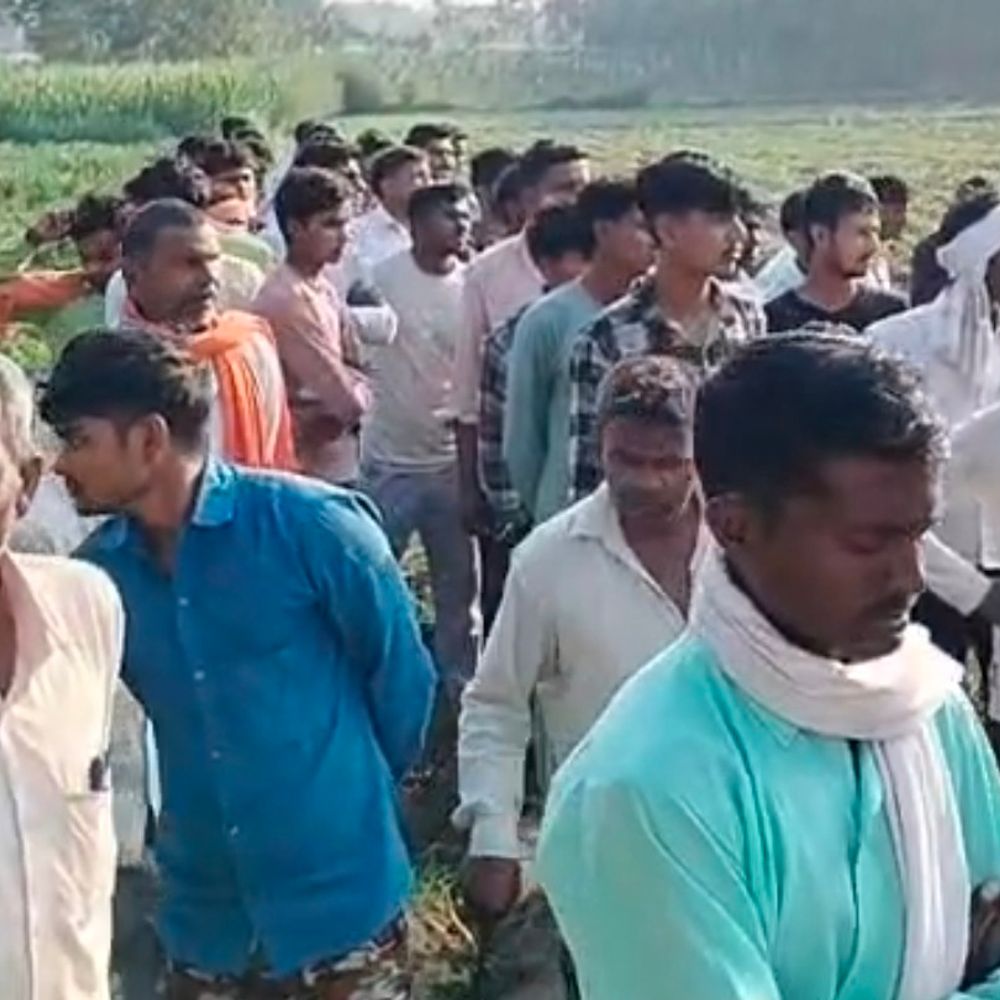 मेंथा खेत में पेड़ से लटका मिला युवक का शव:अमरोहा के आदमपुर क्षेत्र में सनसनी, मोबाइल से पहचान की कोशिश
