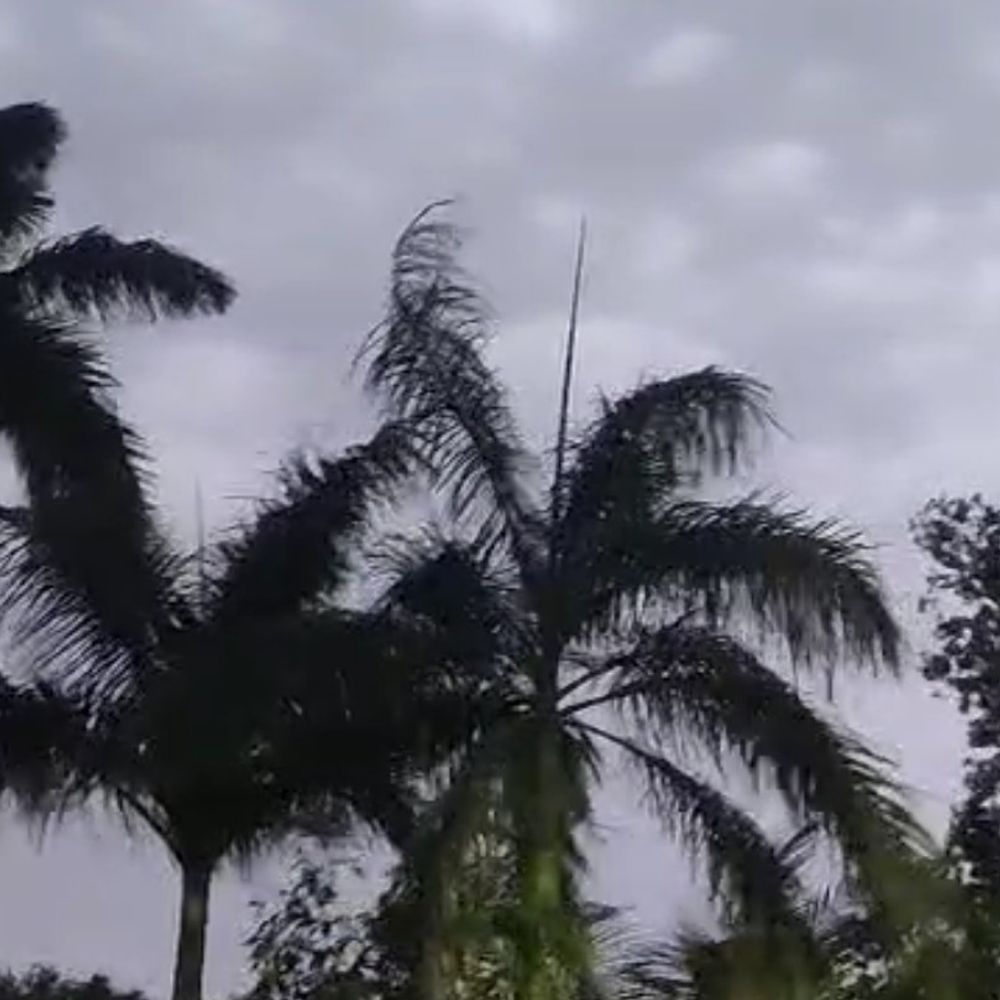 सतना में तेज आंधी-बारिश; तापमान 9 डिग्री गिरा:15 दिन बाद पारा 33.4 डिग्री पर पहुंचा, गर्मी से मिली राहत