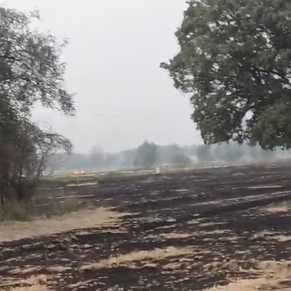 कानपुर देहात में खेतों में आग लगने फसल जलकर राख:दो किसानों की अरहर और नरई जलने से लाखों का नुकसान, मुआवजे की मांग