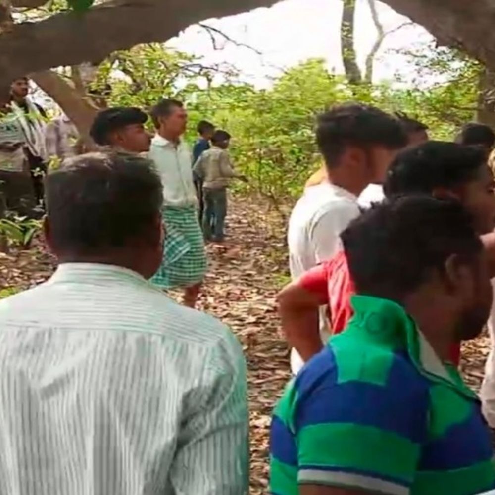 सुल्तानपुर में पेड़ से लटका मिला युवक का शव:पूर्वांचल एक्सप्रेस-वे के पास बाग में हुई घटना, 5-6 दिन पुराना लग रहा शव