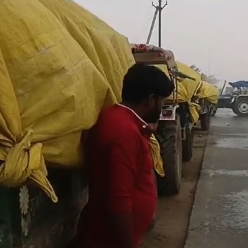 इछावर में बेमौसम बारिश से उपार्जन केंद्रों पर गेहूं भीगा:2 किमी लंबी ट्रॉली कतार में फसल खराब; कलेक्टर के निर्देश, बावजूद सुरक्षा इंतजाम फेल