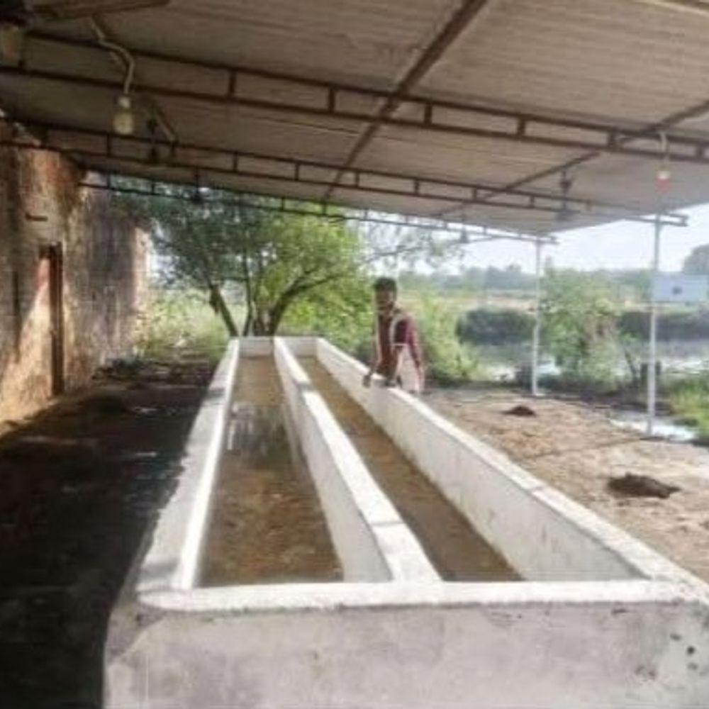 अयोध्या में मिनी नन्दिनी योजना से किसानों की आय बढ़ेगी:8 लाभार्थियों के लिए 10 गायों के शेड का निर्माण तेज, दुग्ध उत्पादन को बढ़ावा