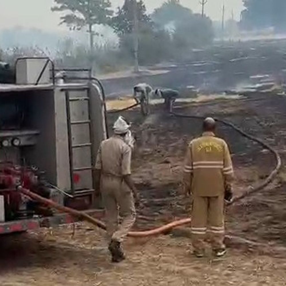 जालौन के डकोर में पराली में लगी आग:गैस गोदाम तक पहुंचने से पहले फायर ब्रिगेड ने पाया काबू, बड़ा हादसा टला