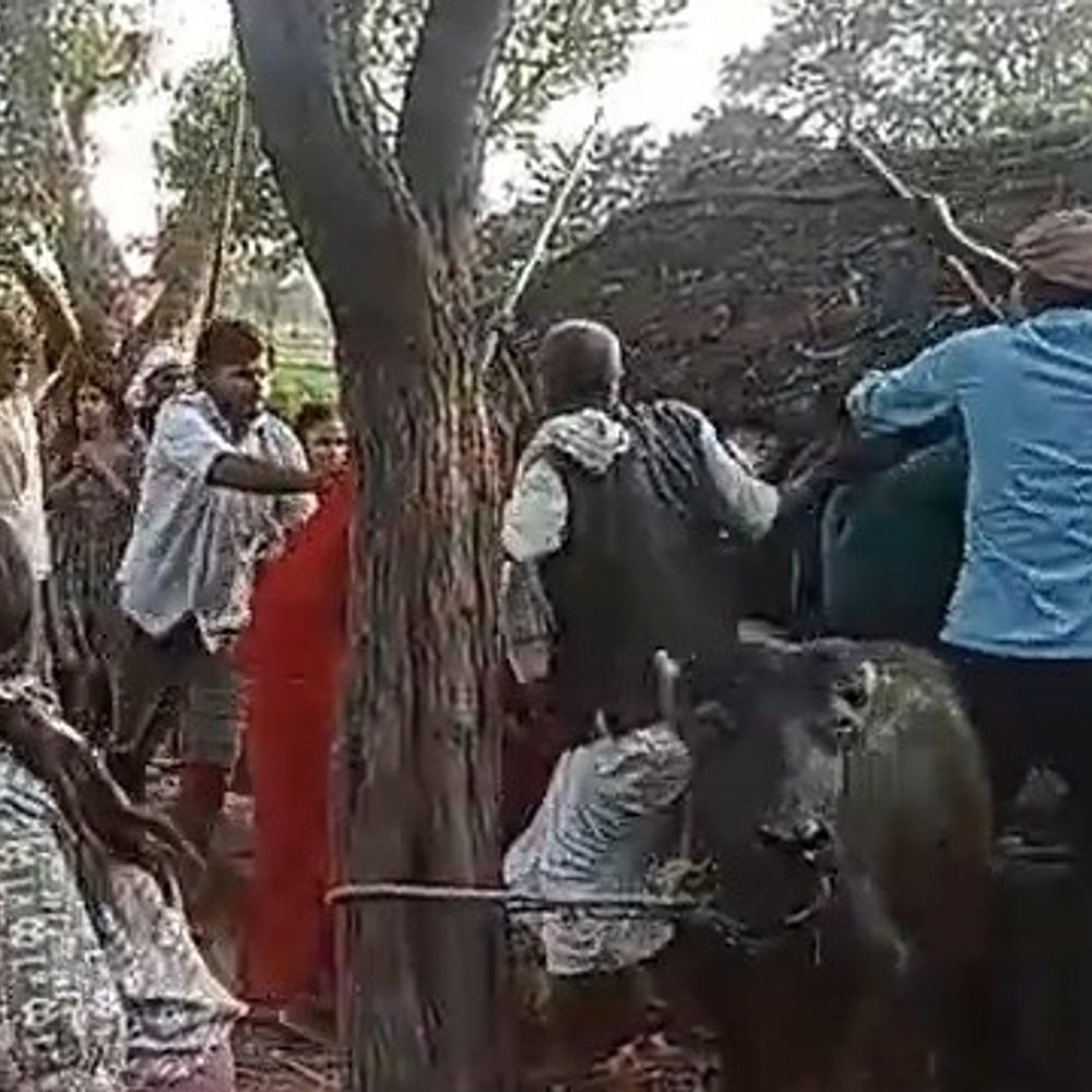 गोंडा में जमीन विवाद को लेकर दो पक्षों में मारपीट:तेज आंधी के चलते गिरे छप्पर को ठीक करते समय हुआ विवाद