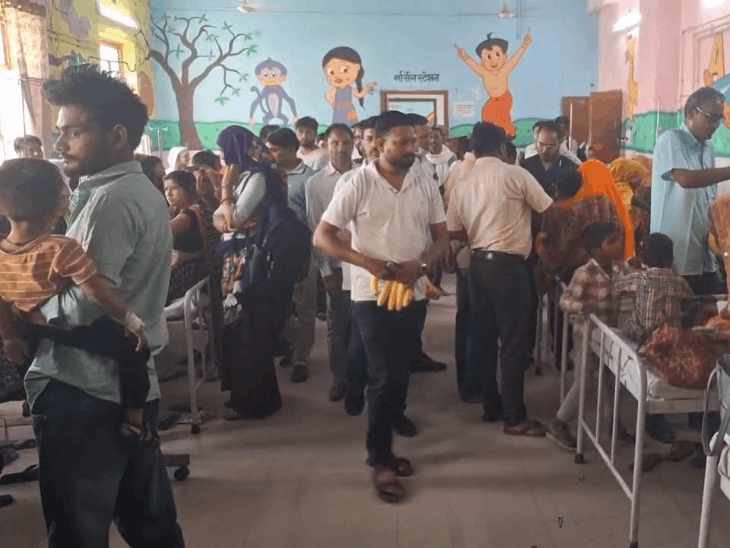 गहलोत के जन्मदिन पर ‘सेवा ही संकल्प’ दिवस मनाया:  पक्षियों के लिए परिंडे लगाए, अस्पताल में मरीजों को फल बांटे – Karauli News
